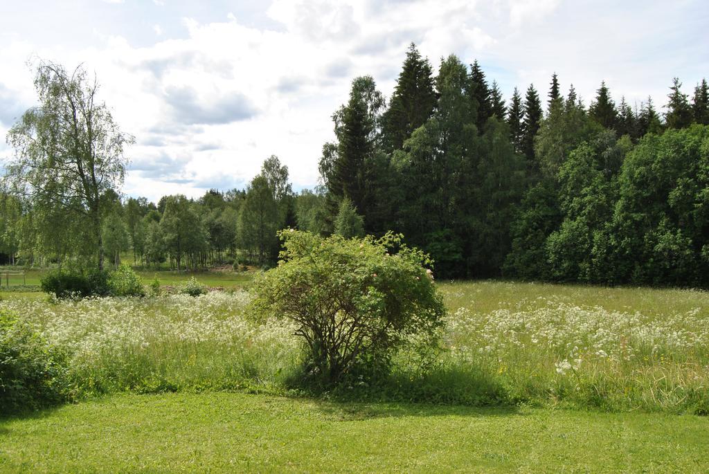 Villa Orsastuguthyrning-Oljonsbyn Esterno foto