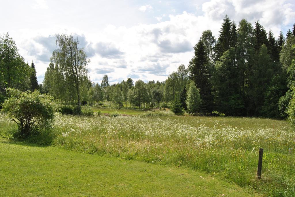 Villa Orsastuguthyrning-Oljonsbyn Esterno foto